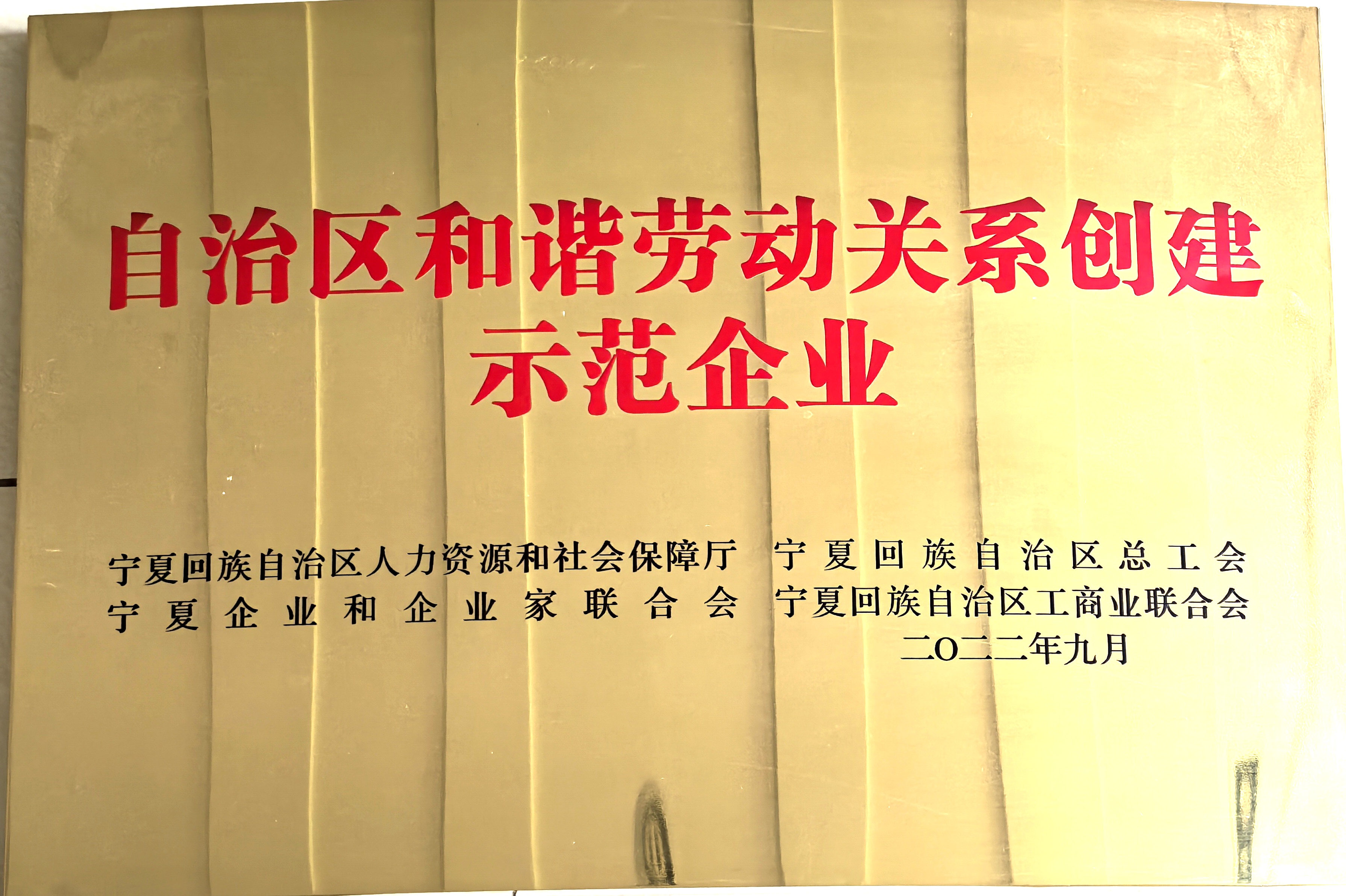 2022自治区和谐劳动关系创建示范和谐企业.jpg