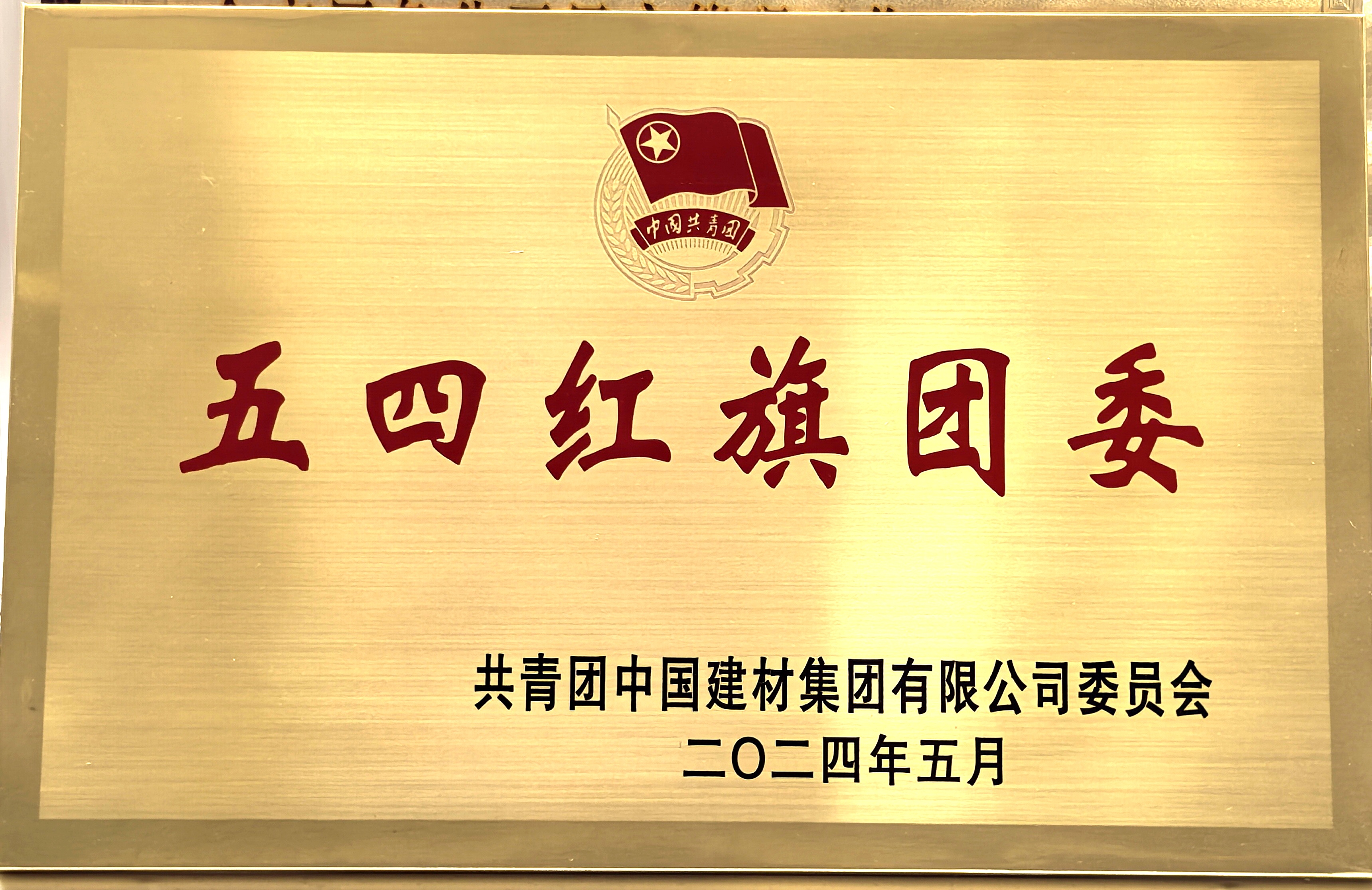 2024五四红旗团委.jpg